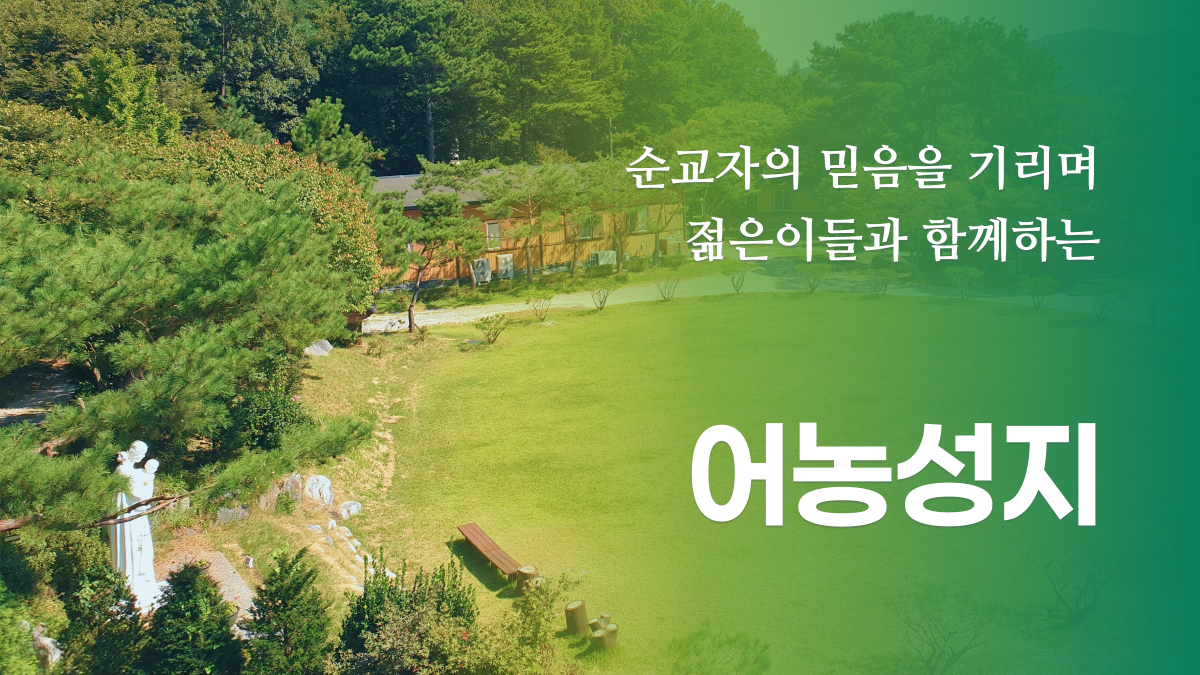 대표이미지
